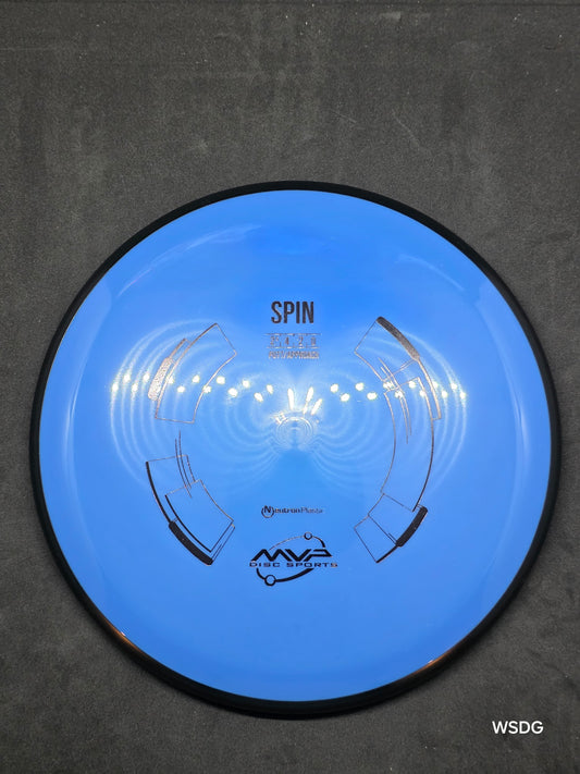 Neutron Spin